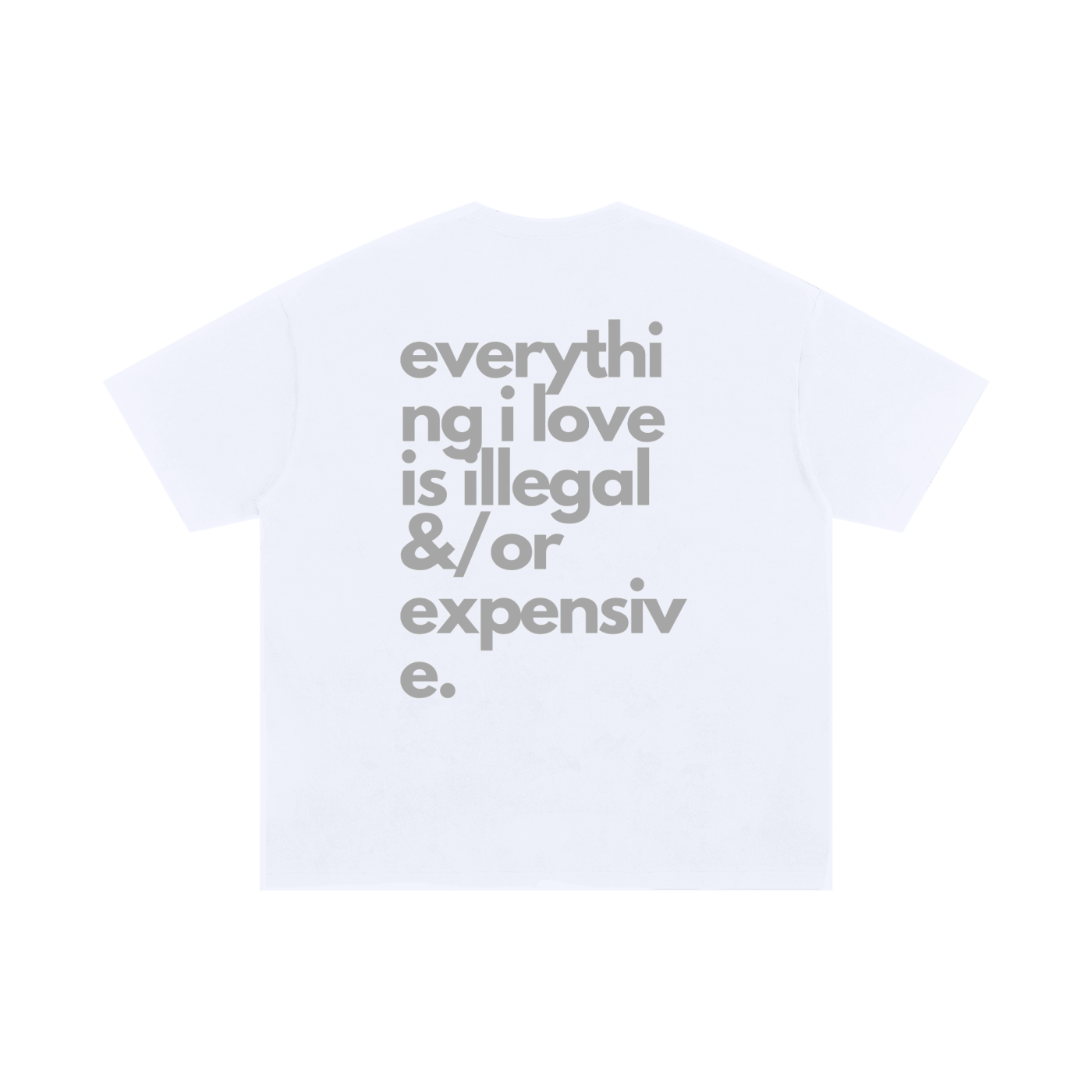 Everything I Love Is Illegal or Expensive – Oversized Cotton T-Shirt